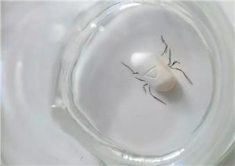 Harder, Better, Faster, Stronger - Stephen Lawrence Gallery, University of Greenwich