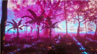 Alice Bucknell: Persistent Worlds - Kunsthalle Praha