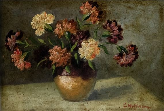 Carnations - Coca Metianu