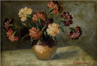 Carnations - Coca Metianu