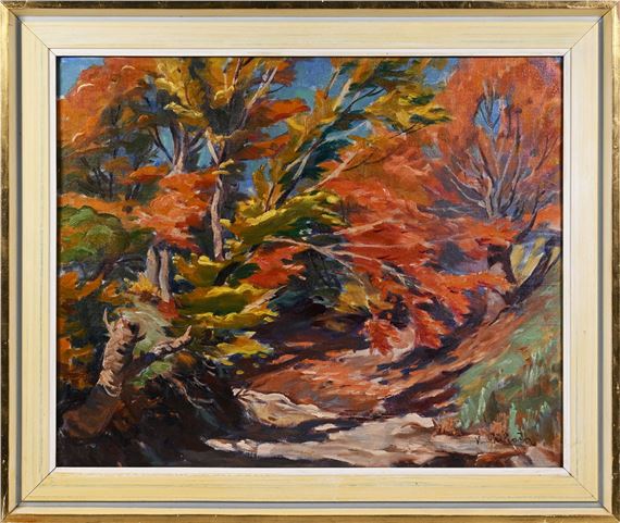 Cesta mezi stromy - Václav Příhoda