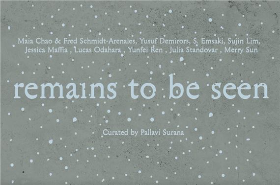 Remains to be seen - Smack Mellon