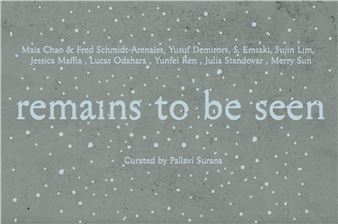 Remains to be seen - Smack Mellon