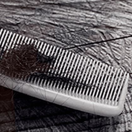 Maruch Sántiz Gómez: Creencias de nuestros antepasados - Museo Amparo