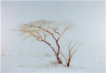 Light of the dark no. 4 - Rafael Y. Herman