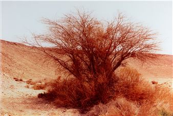 Light of the dark no. 1 - Rafael Y. Herman