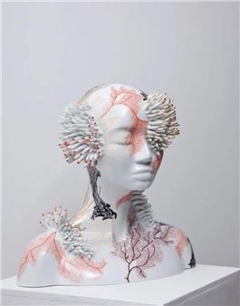 Millepora - Juliette Clovis