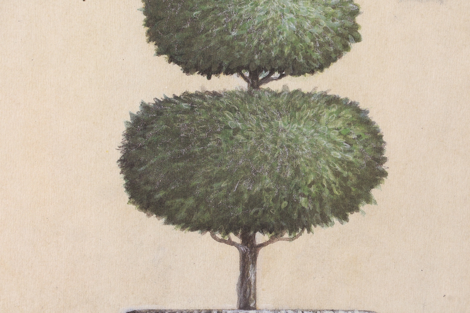 Arnie R. Fisk | VASE TREE | MutualArt