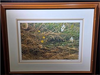 Mowed Meadow - Robert Bateman