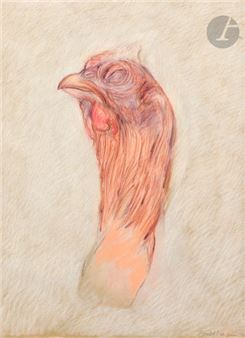 Tête de poulet - François Barbâtre