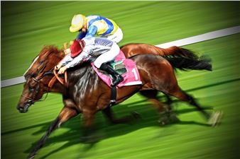 1er octobre 2016, Chantilly. - Franck Seguin