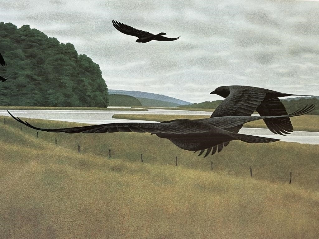 Alex Colville | SEVEN CROWS | MutualArt