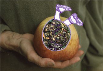 Grace Wood: A Garden is a Mother - Heide Museum of Modern Art