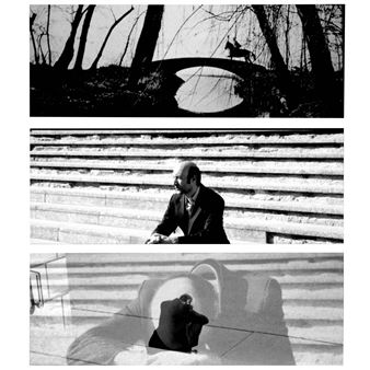 Darios (to you) - Markus Schinwald