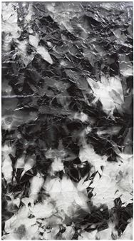 Picture Made by My Hand with the Assistance of Light - Walead Beshty