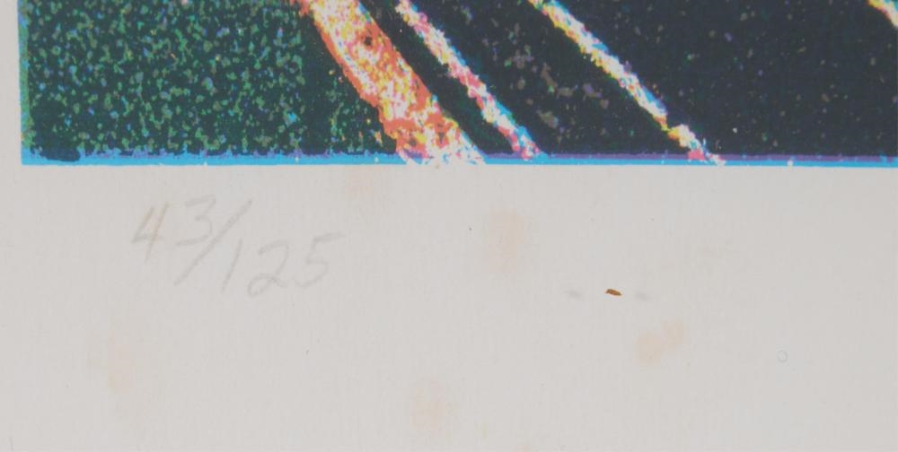 Artwork by Edmond de Boisblanc, The Belle of Dixie, Made of digital C-prints