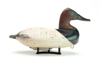 Canvasback - William Heverin