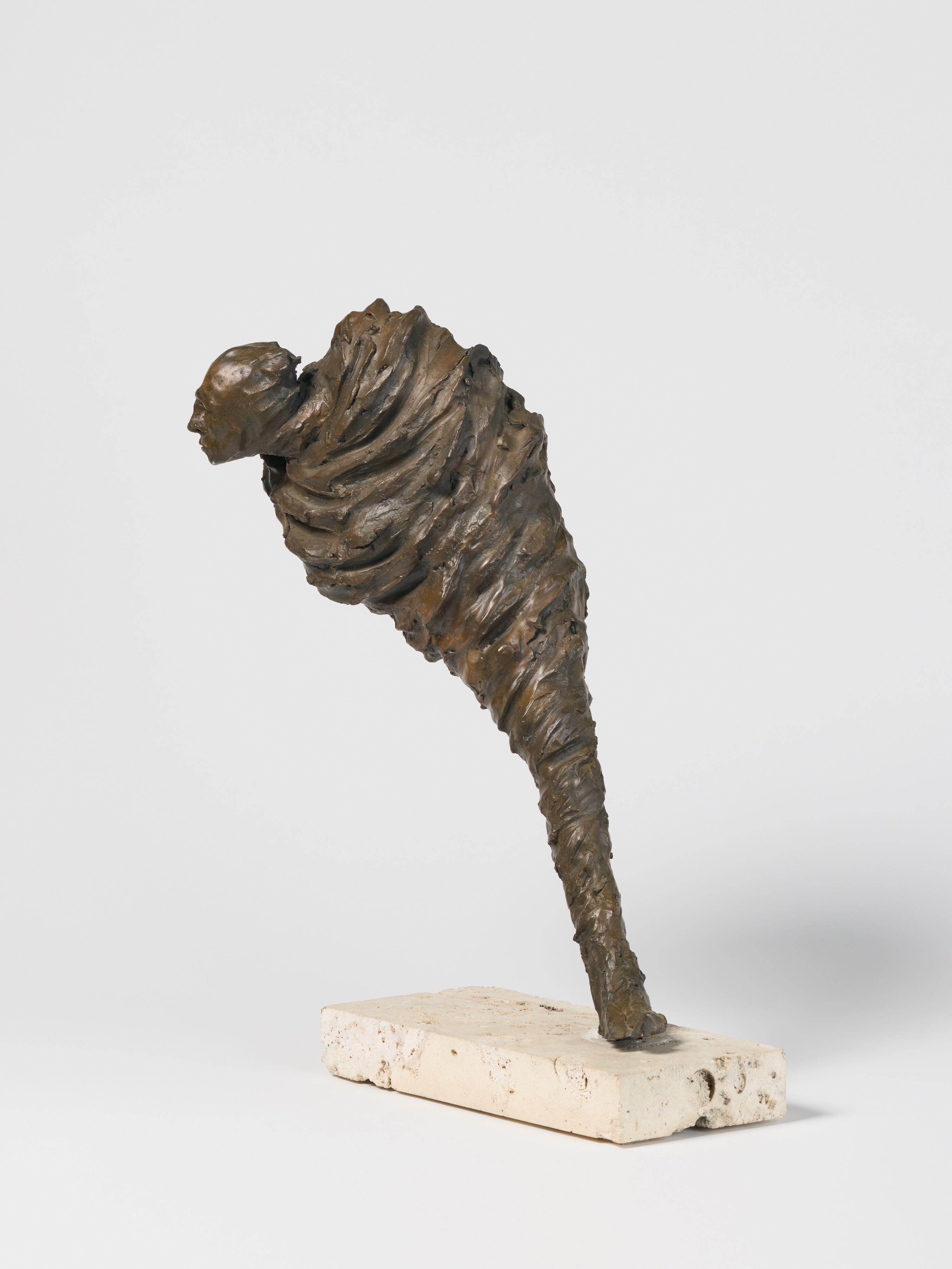 James Mathison | Metamorfosis-Torbellino (1997) | MutualArt
