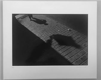 Le voyageur de ses ombres - François Perri