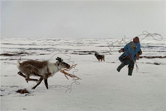 Renne et Nénètse by Fabrice Dimier, 2013