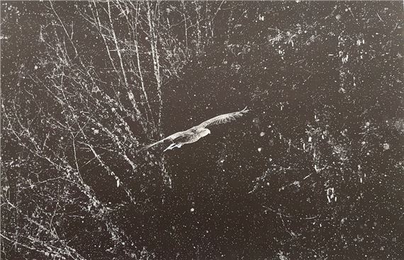 Learning to fly by Fabrice Dimier, 2018