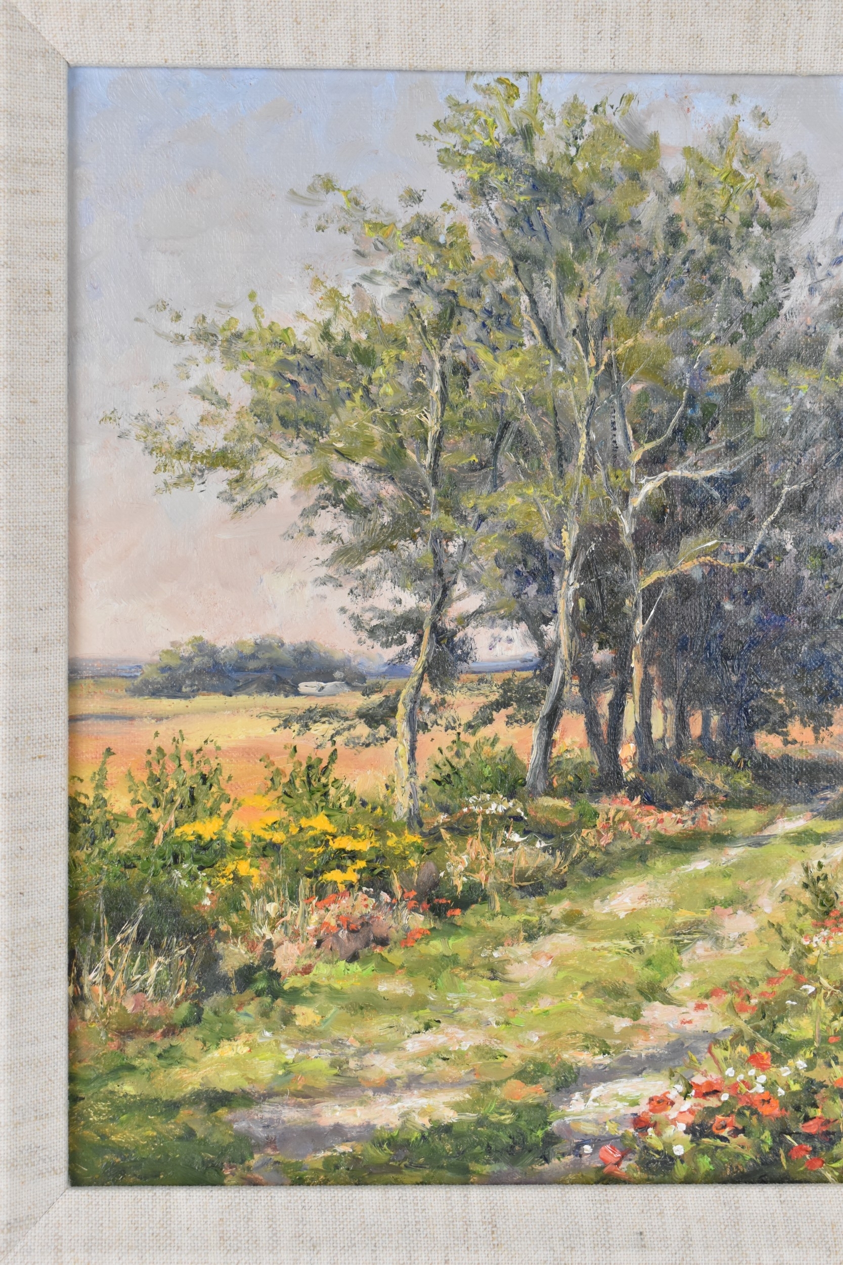Mervyn Goode | Poppies beside the Chalky Track | MutualArt