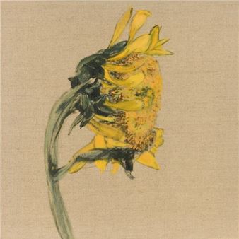 Suite of four paintings of sunflowers - Claire Basler