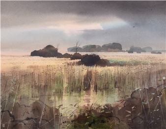 TITCHWELL MARSH - Peter Atkin
