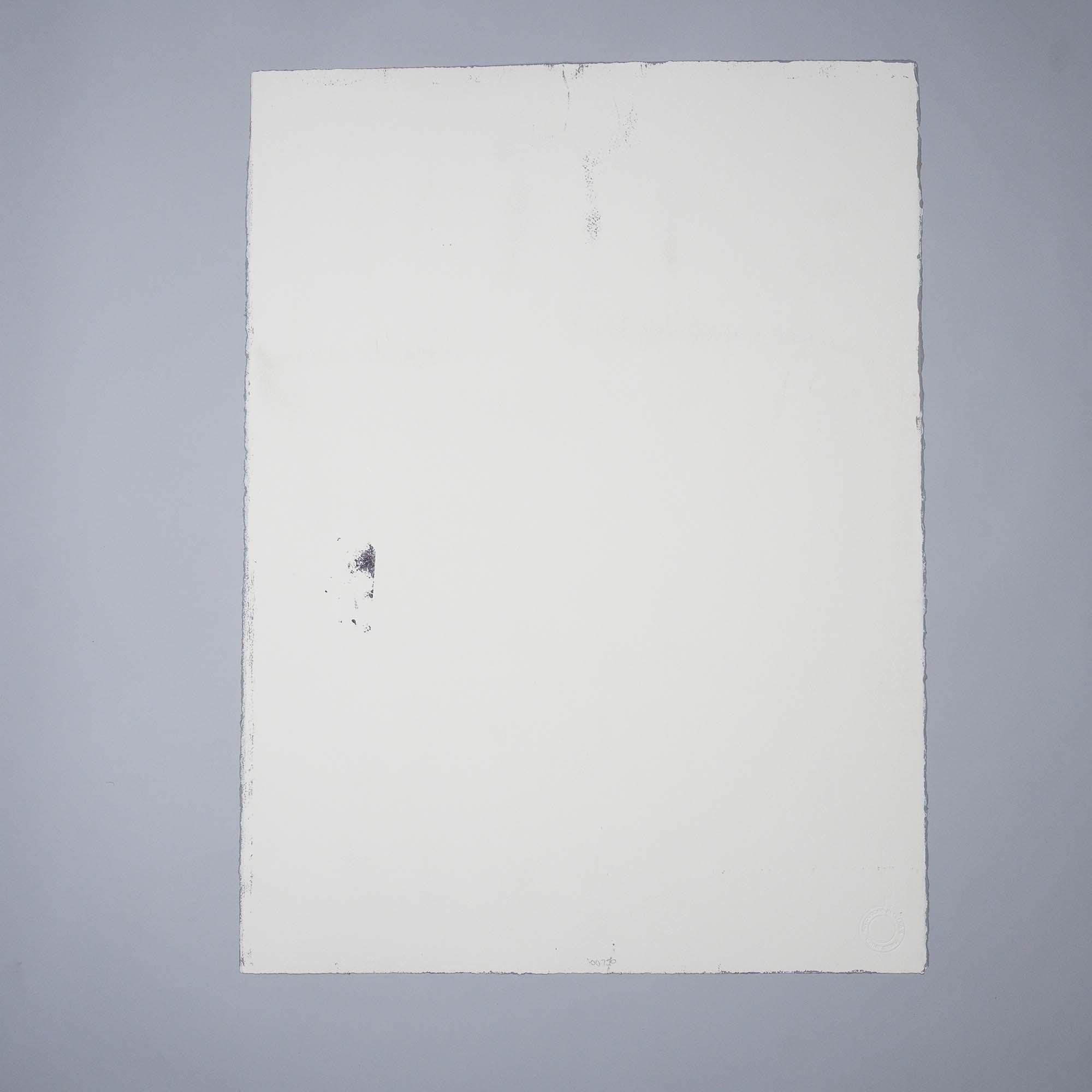 Artwork by Grafter, Butterfly Collector, Made of Somerset watercolor paper