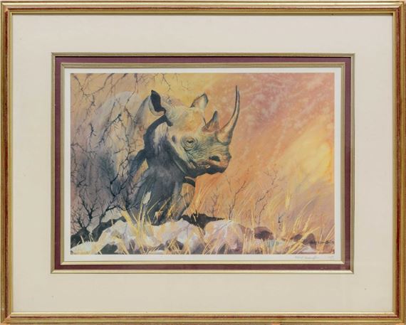 Rhinoceros - Bert Lewington