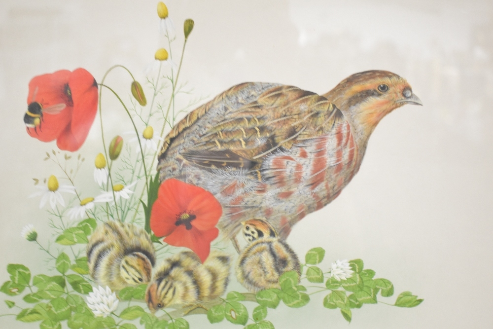 J. R. Morris | Detailed study of a partridge and chicks | MutualArt