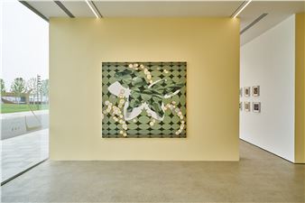 Vivien Zhang: Paths Unseen