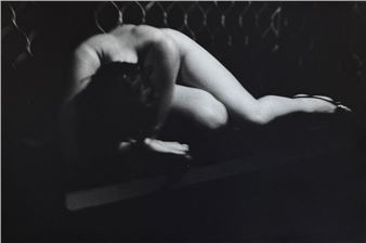 Nude Feminine - Noëlle Hoëppe