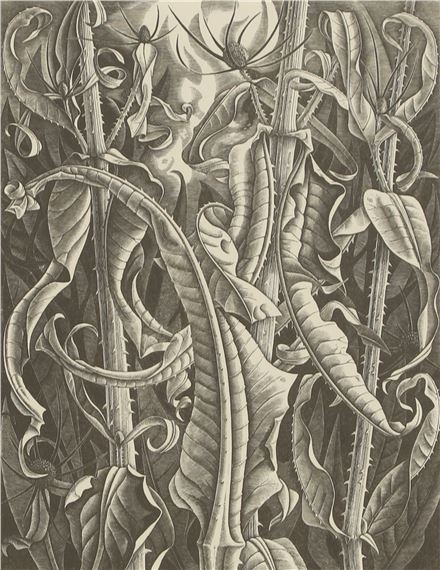 Dry September 1980; by Monica Poole