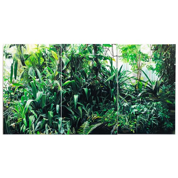 Gewächshaus - Giancarlo Mangini