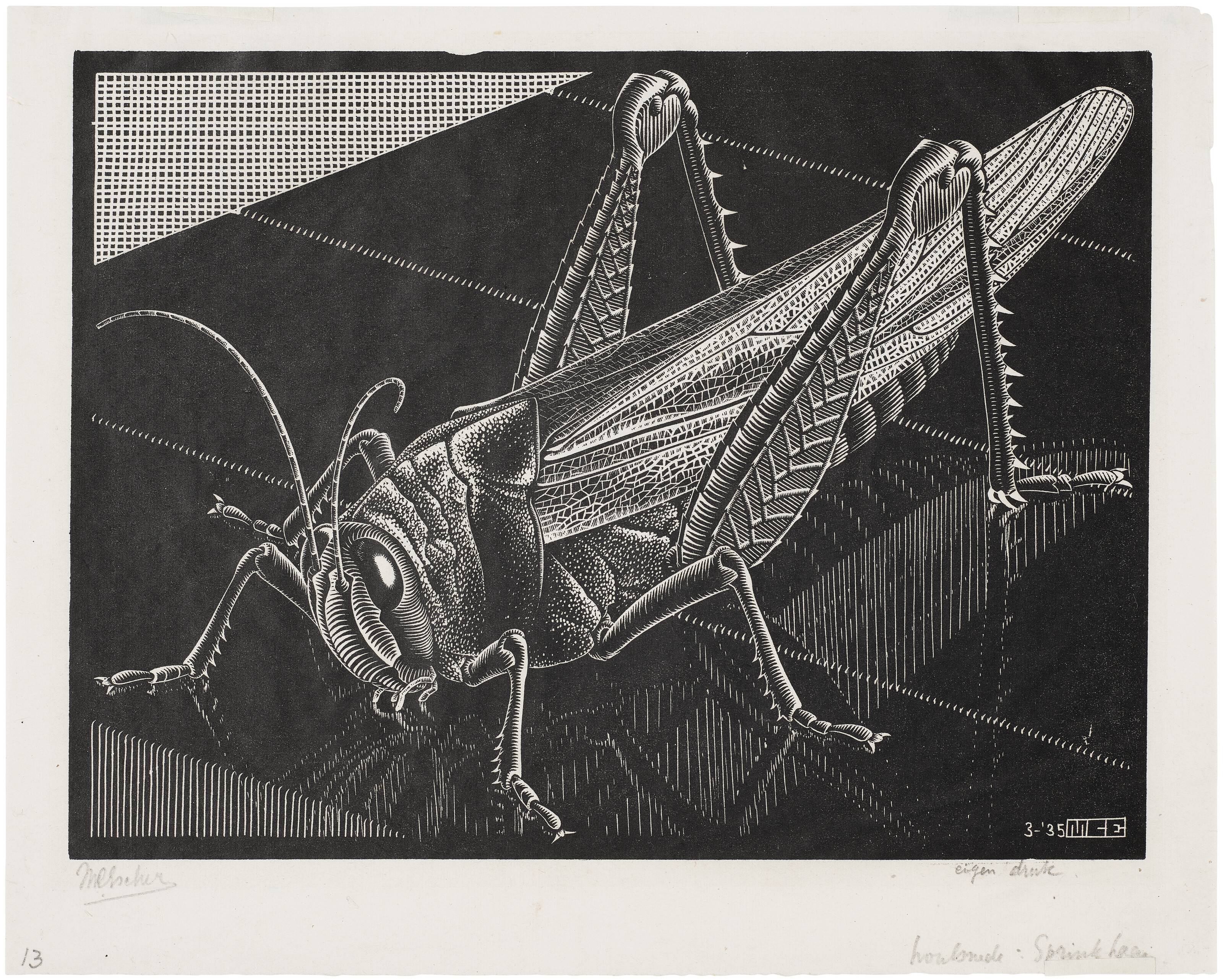 Artwork by Maurits Cornelis Escher, Grasshopper, Made of Wood engraving on Chine volant paper