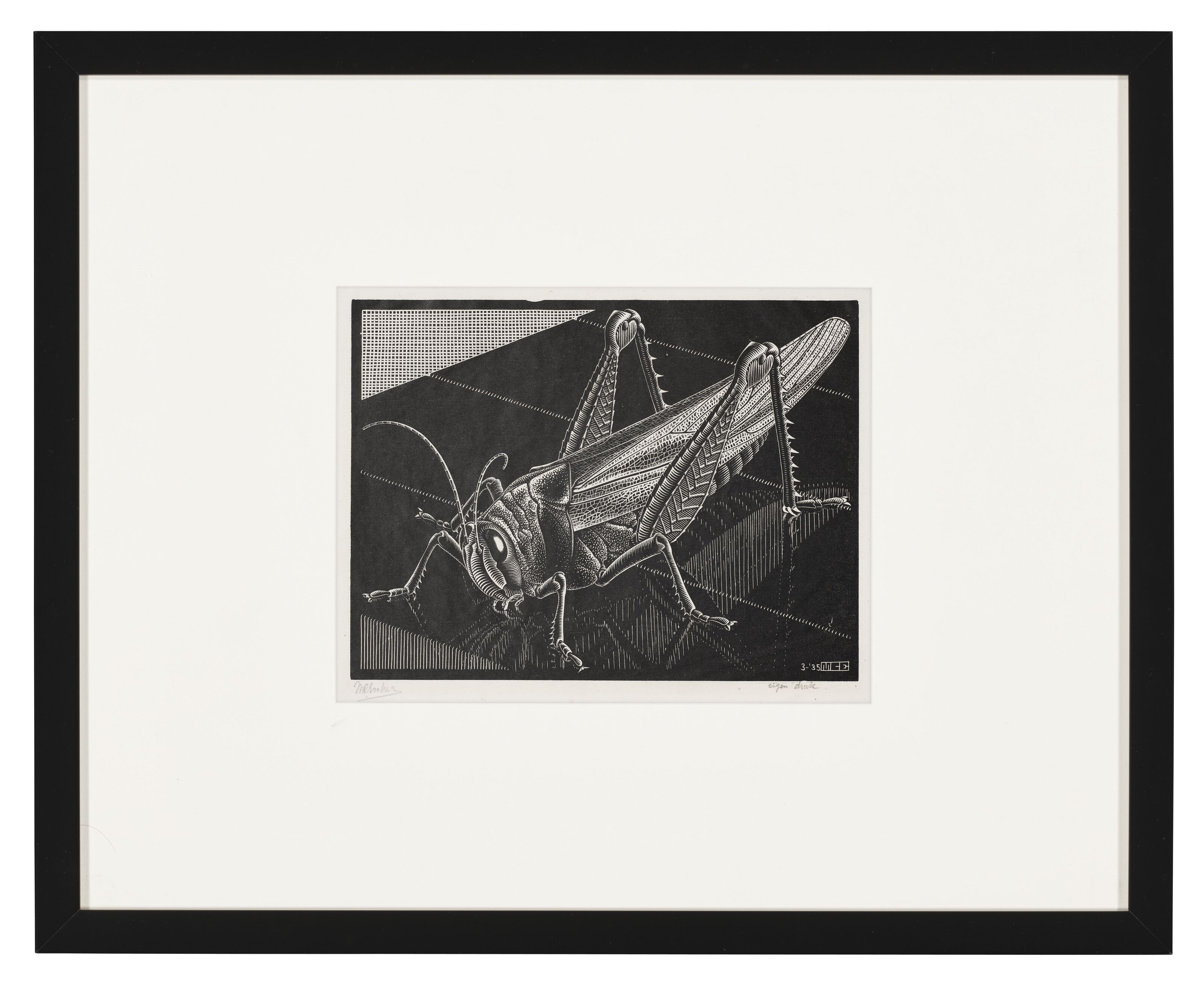 Artwork by Maurits Cornelis Escher, Grasshopper, Made of Wood engraving on Chine volant paper