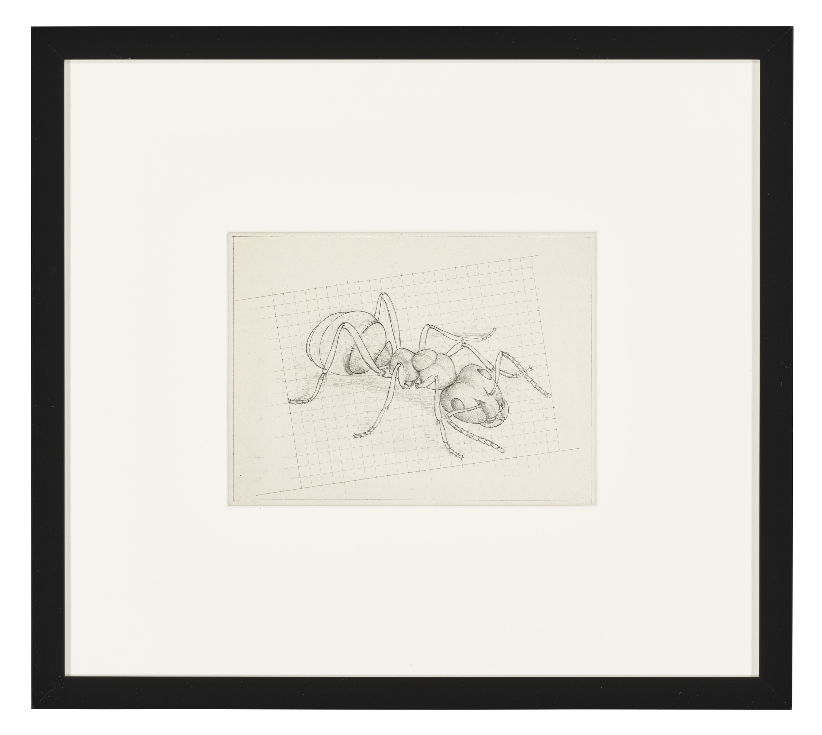 Artwork by Maurits Cornelis Escher, Sketch for Ant, Made of Pencil on paper squared for transfer
