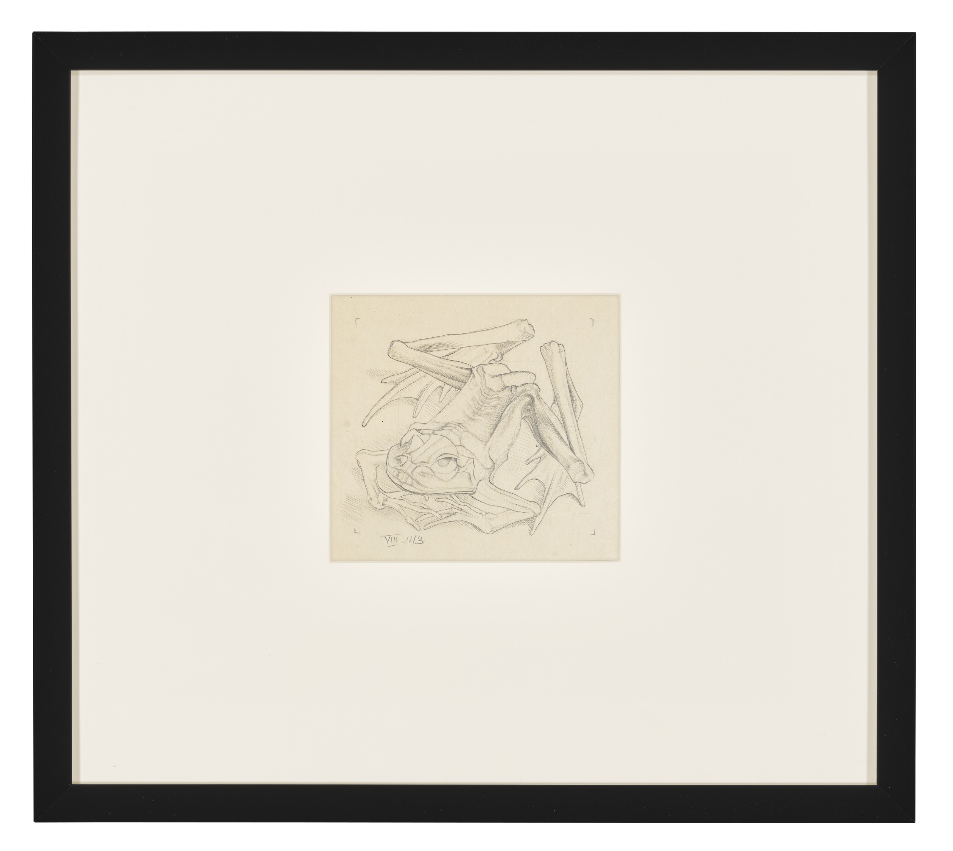Artwork by Maurits Cornelis Escher, Mummified Frog, Made of Pencil on paper squared for transfer