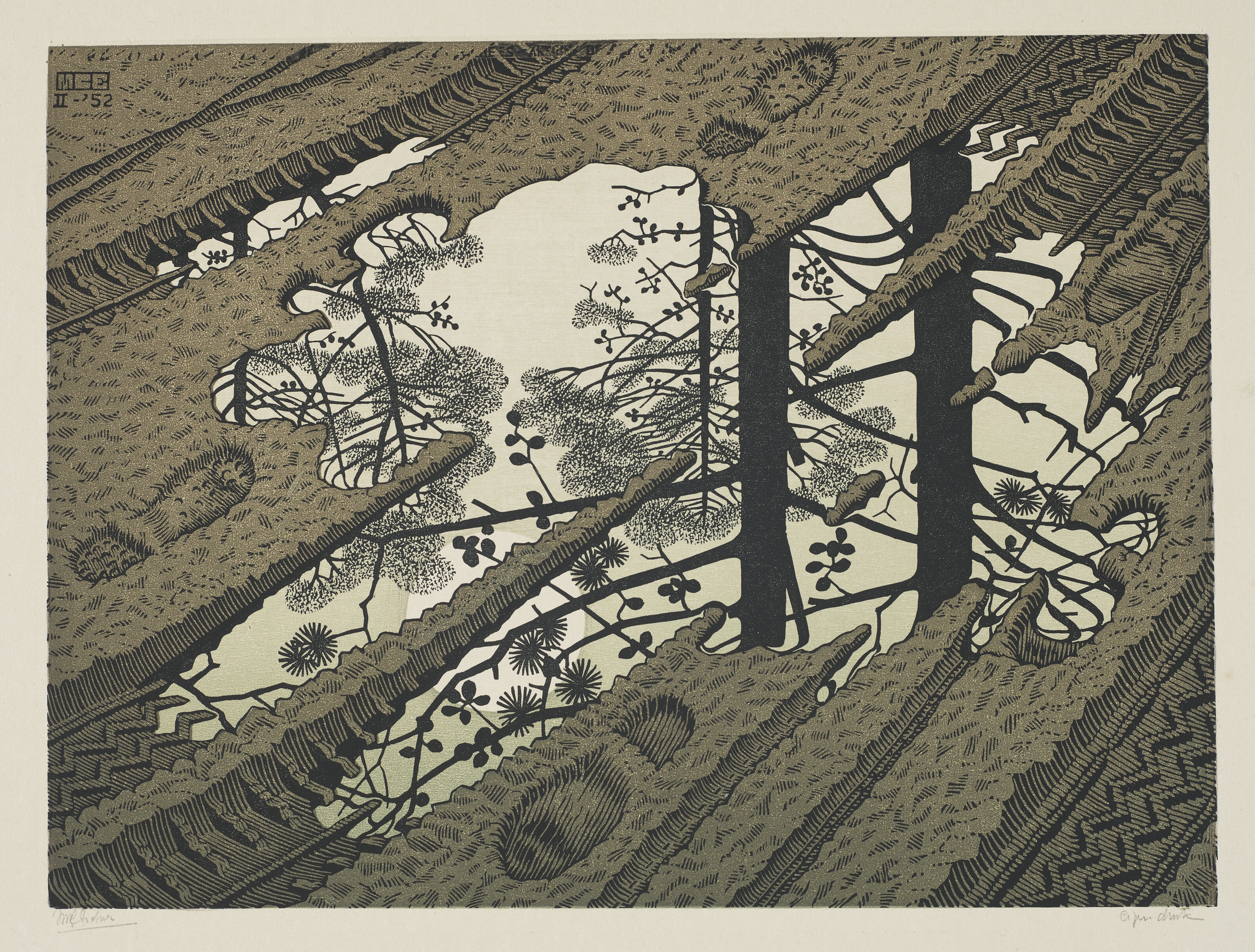 Artwork by Maurits Cornelis Escher, Puddle, Made of Woodcut in colors on Japan paper