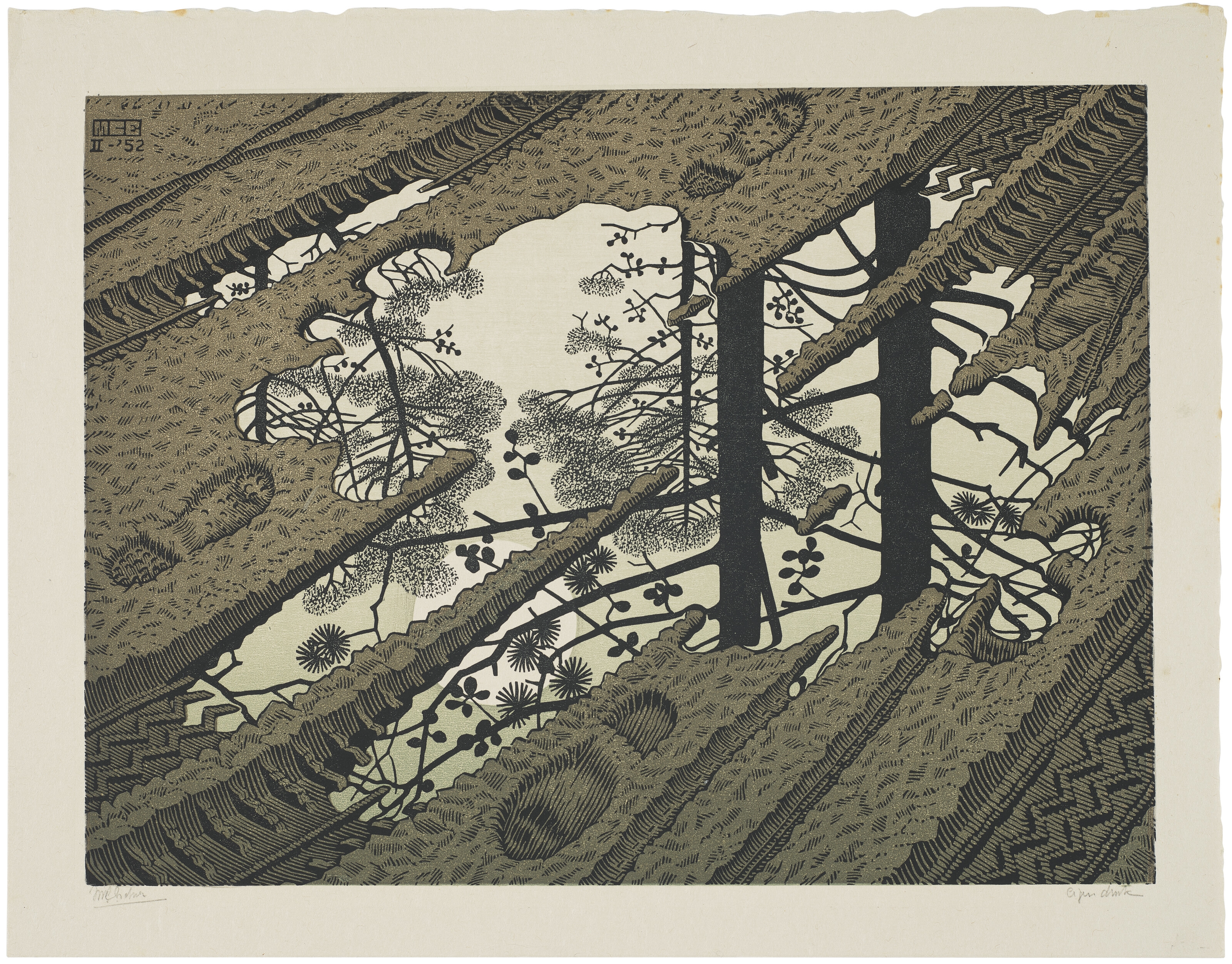 Artwork by Maurits Cornelis Escher, Puddle, Made of Woodcut in colors on Japan paper