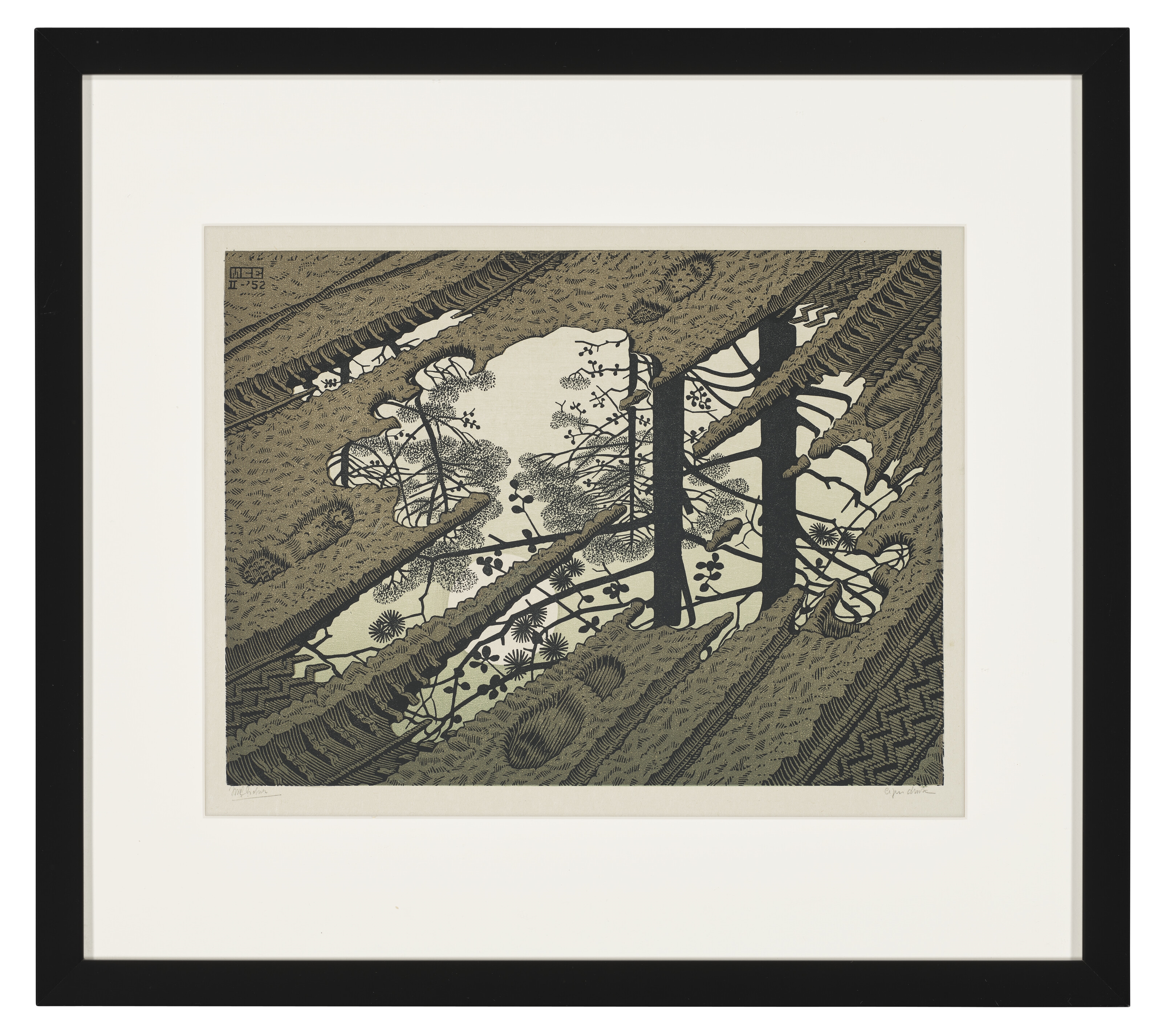 Artwork by Maurits Cornelis Escher, Puddle, Made of Woodcut in colors on Japan paper