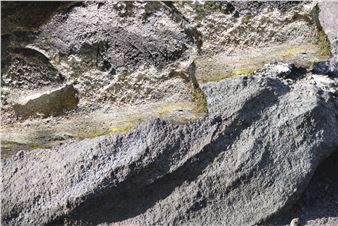 Susanne Kriemann: Knochen, Pech, Natternkopf (Being a Photograph) - Museum of Contemporary Art Leipzig (GfZK) 