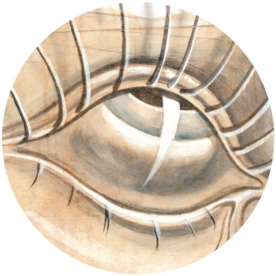 The Eye in Art 1900-2025 - Museum Kampa, The Jan and Meda Mládek Foundation