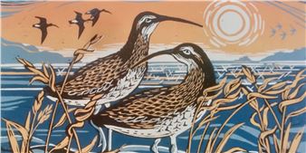 Vanishing Wings: Art of the Endangered - Museum of Modern Art, Wales