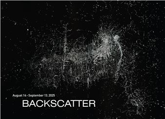 Backscatter - Overlap Gallery