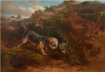 Dandie Dinmont terriers rabbiting - George Earl