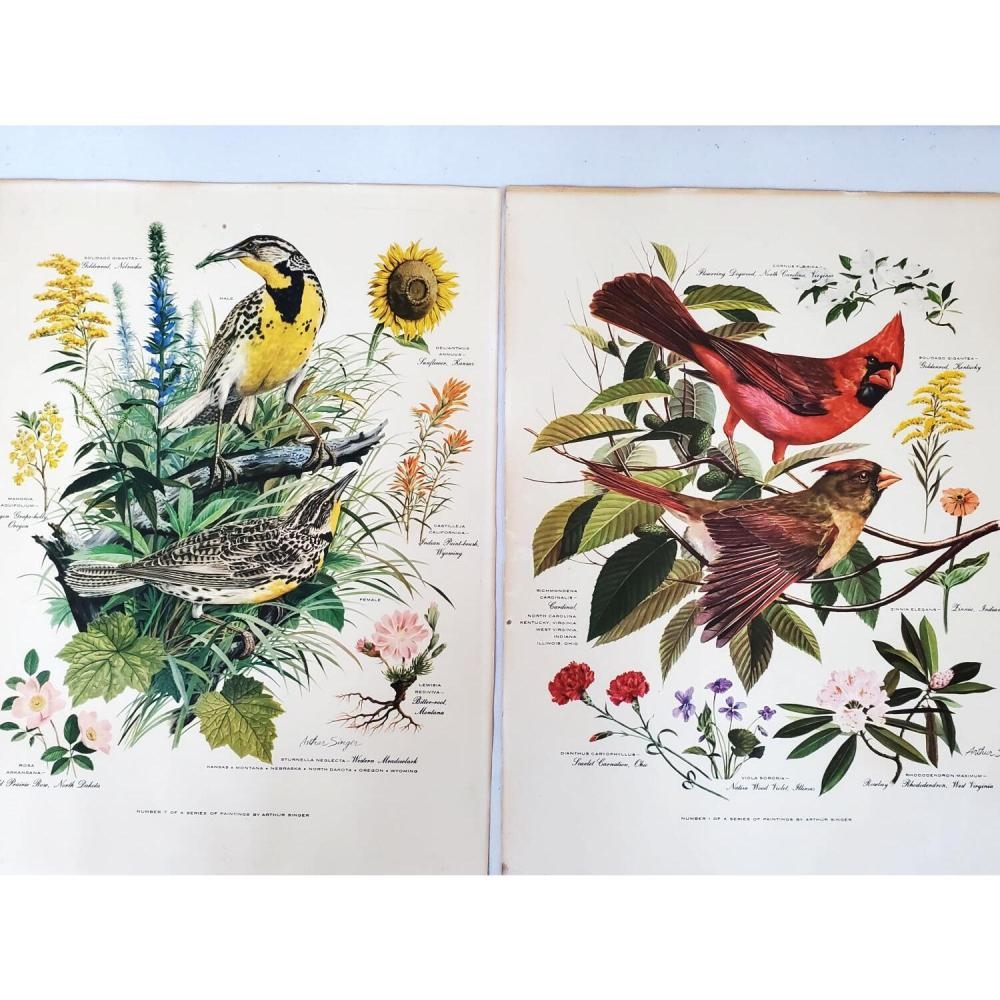 Arthur B. Singer | Lot of Artworks/Prints Depicting Birds | MutualArt