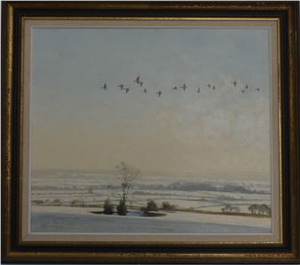 Winter Flight - Walter Robin Jennings