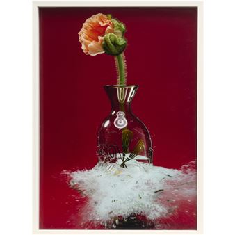 Papava - Martin Klimas